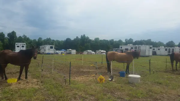 Brinkleyville Hunt Club