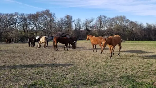 Broken Bow Ranch, photo 3