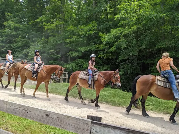 Brown County State Park Saddle Barn