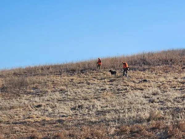 Brush Dale Hunting Preserve & Kennel