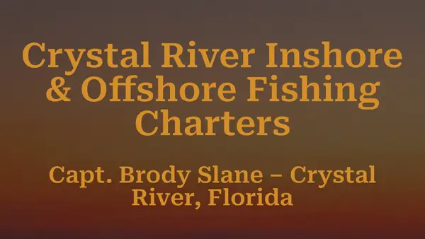 BS Fishing Charters
