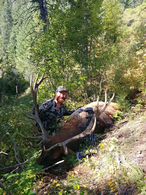 Buck Horn Outfitters llc