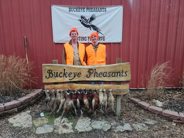 Buckeye Pheasant Hunting Preserve