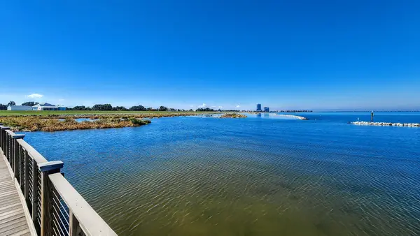 Bucktown Marina