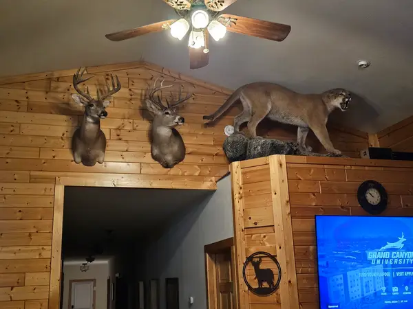 Buffalo County Outfitters