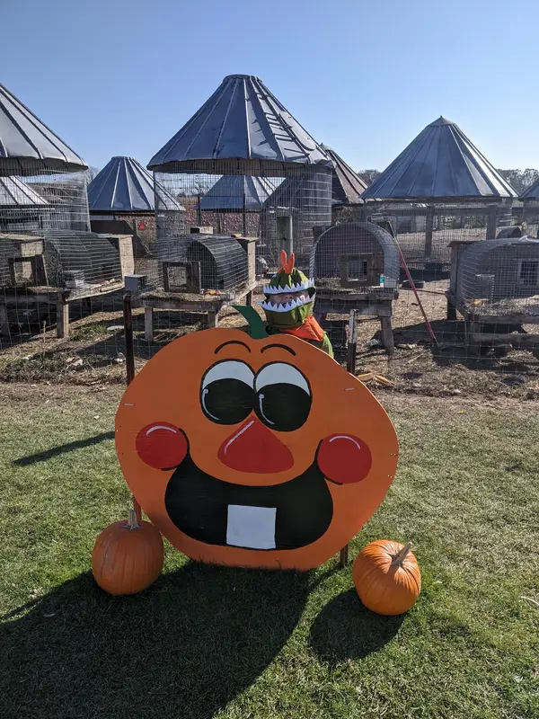 Bulitz Pumpkin Farm, Kohler, WI