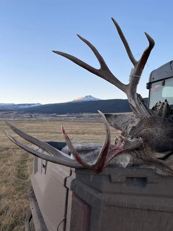 Bull Basin Outfitters