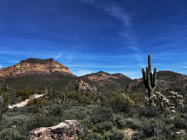 Bulldog Canyon OHV - Wolverine Gate