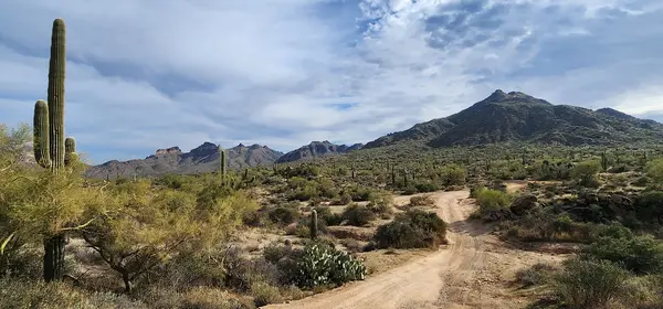 Bulldog Canyon OHV