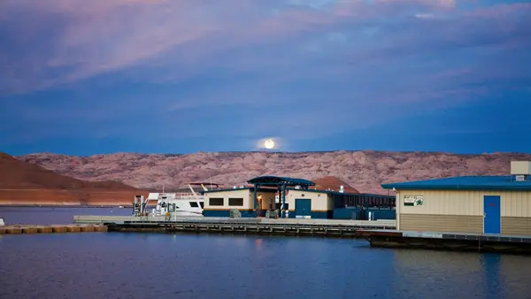 Bullfrog Marina