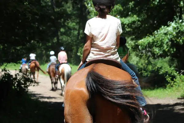 Bunker Park Stables