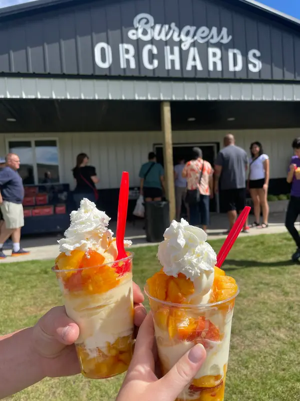 Burgess Orchards, Alpine, UT