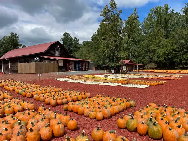 Burt's Farm, Dawsonville, GA