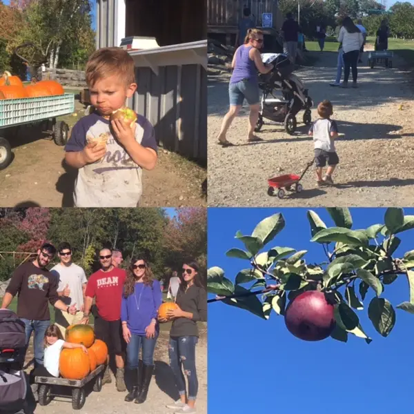Butternut Farm, Farmington, NH