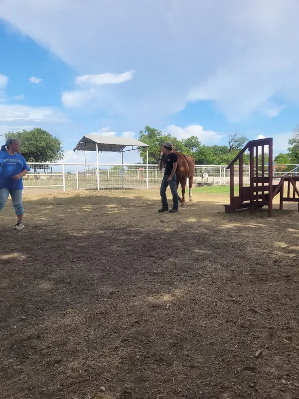 C & C Stables TX, photo 1