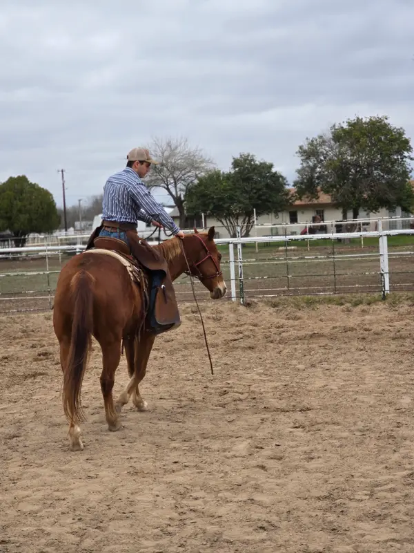 C & C Stables TX, photo 2