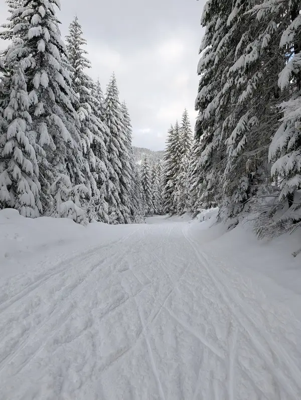 Cabin Creek Sno-Park
