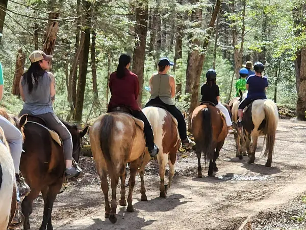 Cades Cove Riding Stables, Townsend, TN