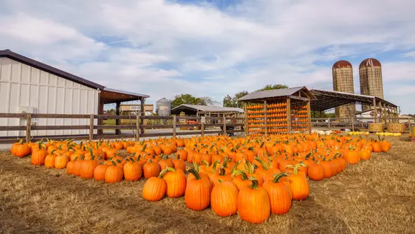 Cagle's Family Farm, Canton, GA