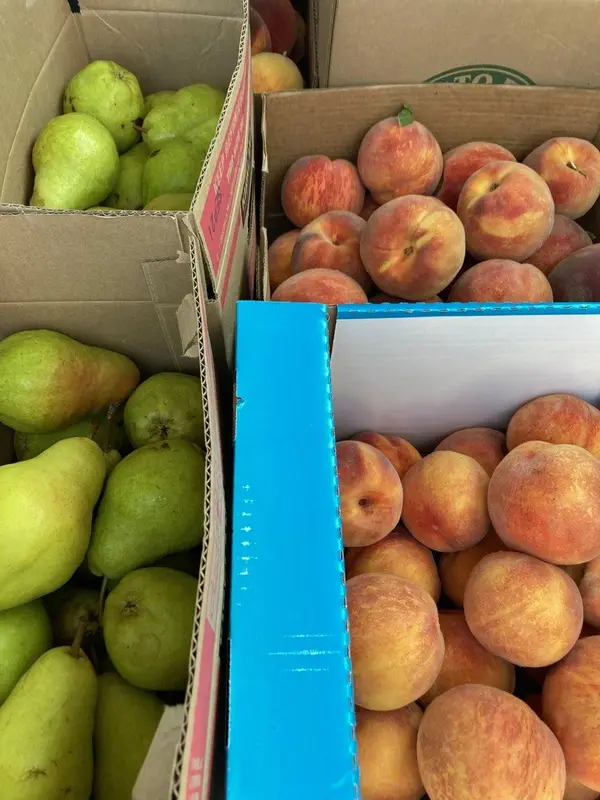 Caldwell Idaho Orchards, Caldwell, ID