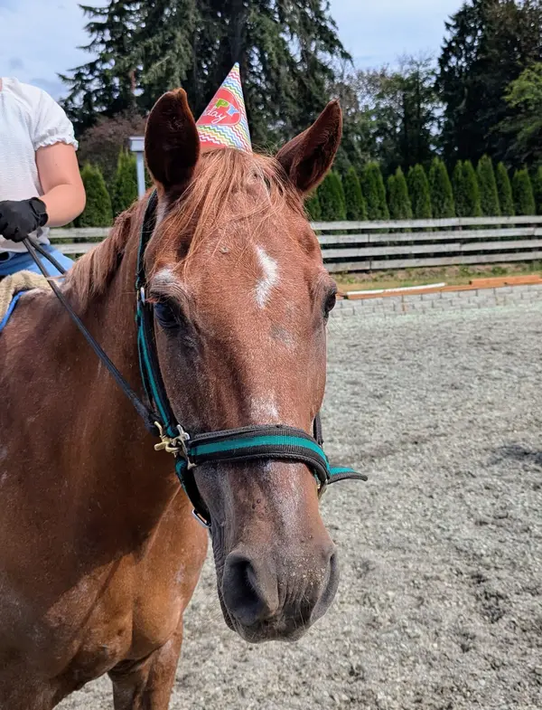 Caliber Equestrian Farm