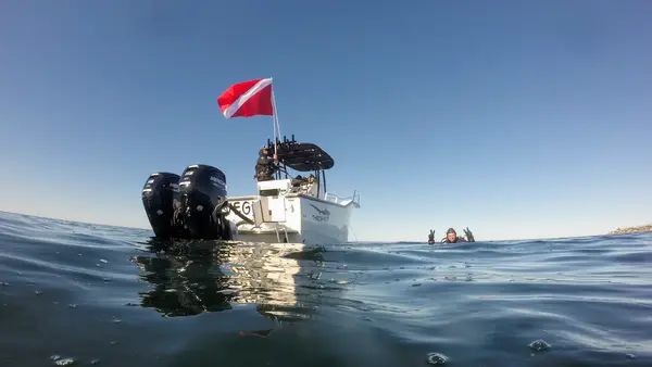 California Dive Guy