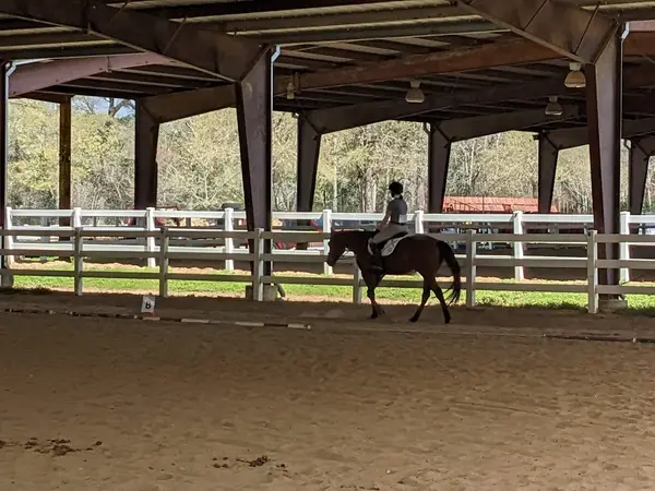 Callegari Equestrian Center, photo 2