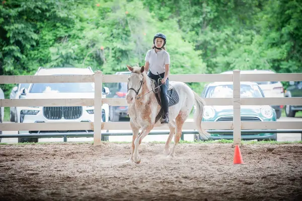 Callegari Equestrian Center, photo 3