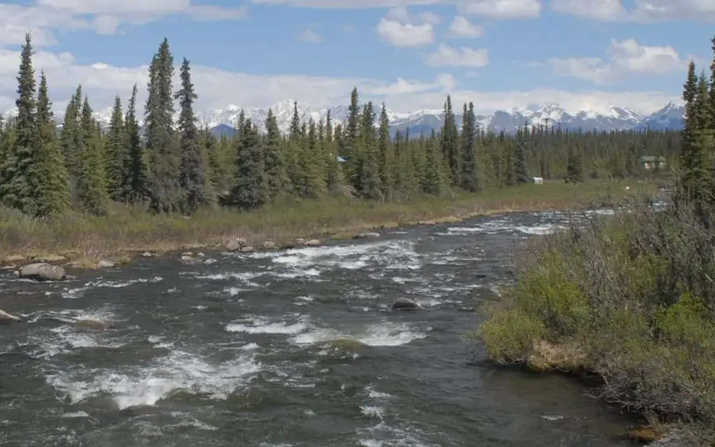 Brushkana Creek Campground, a BLM campground