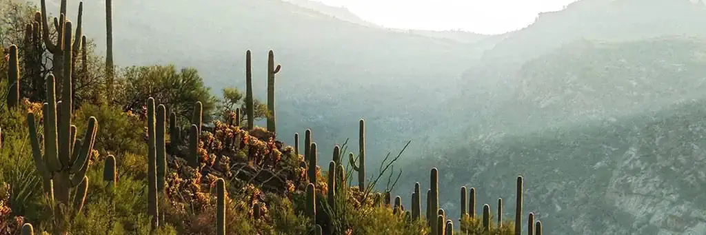 Saguaro National Park Wilderness Permits, a National Park Service campground