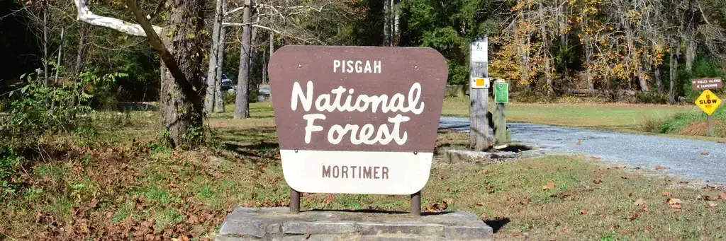 Mortimer Campground, a Forest Service campground