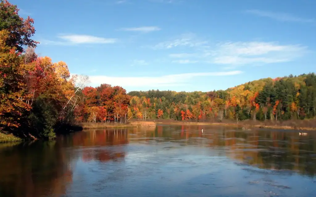 Upper Manistee River Backcountry Campsites, a Forest Service campground
