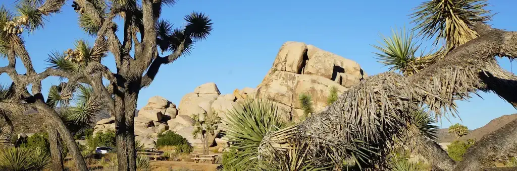 Ryan Campground, a National Park Service campground