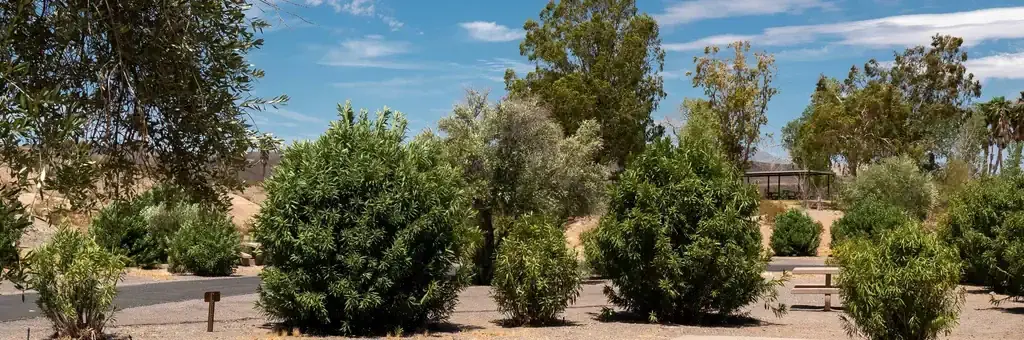 Callville Bay Campground, a National Park Service campground