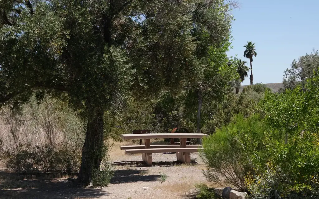 Las Vegas Bay Campground, a National Park Service campground