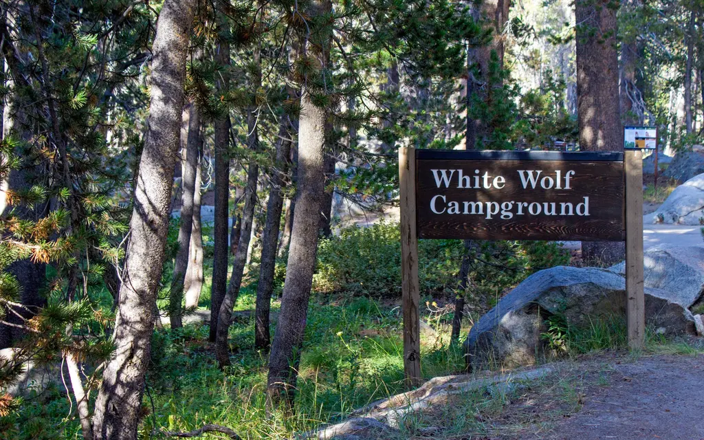 White Wolf Campground, a National Park Service campground