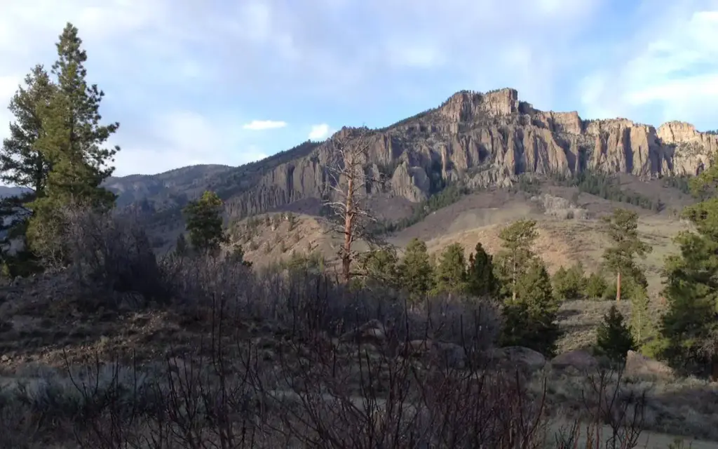 Ponderosa Campground, a National Park Service campground