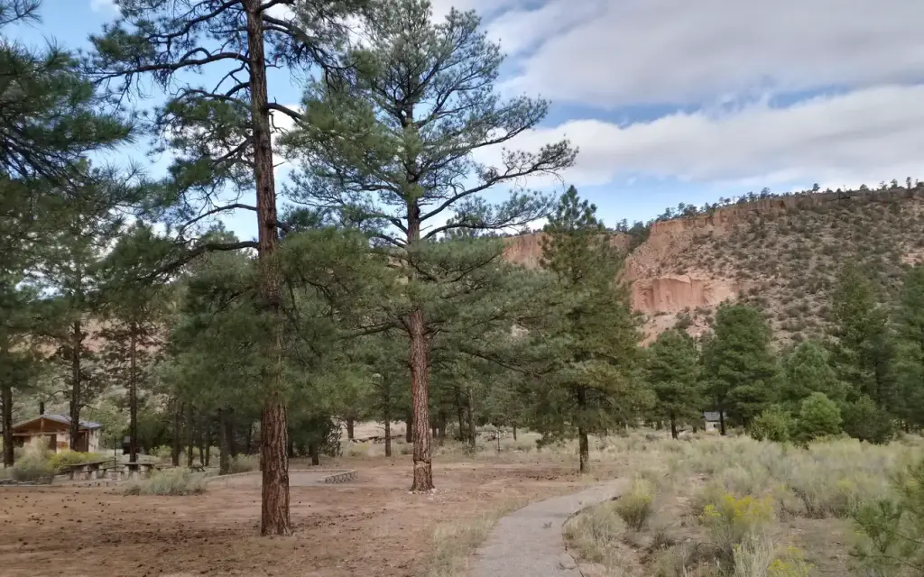 Paliza Group Campground, a Forest Service group camp