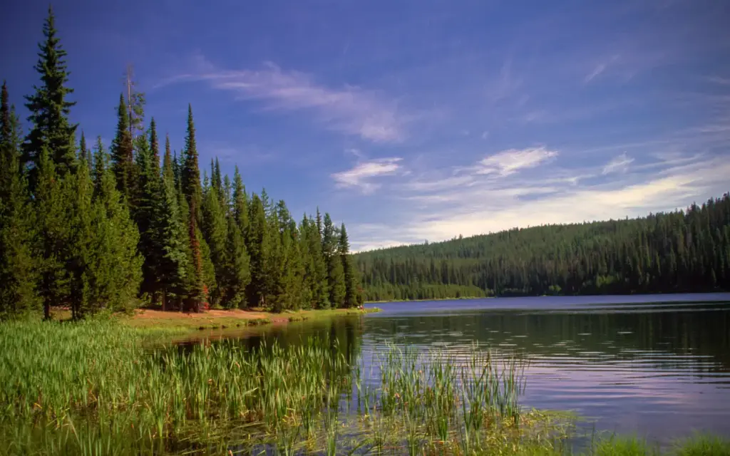 Jubilee Lake Campground, a Forest Service campground
