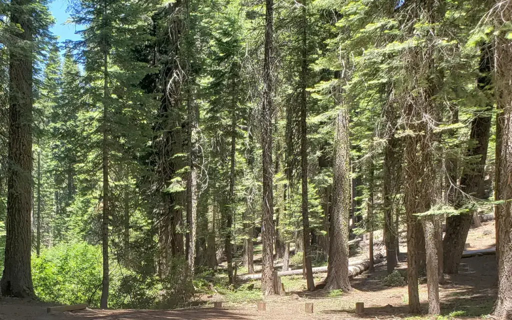 Grizzly Creek Campground, a Forest Service campground