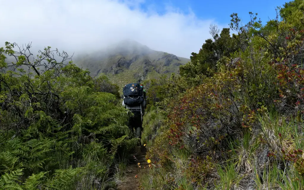 Haleakalā National Park (Wilderness Tent Permit), a National Park Service campground