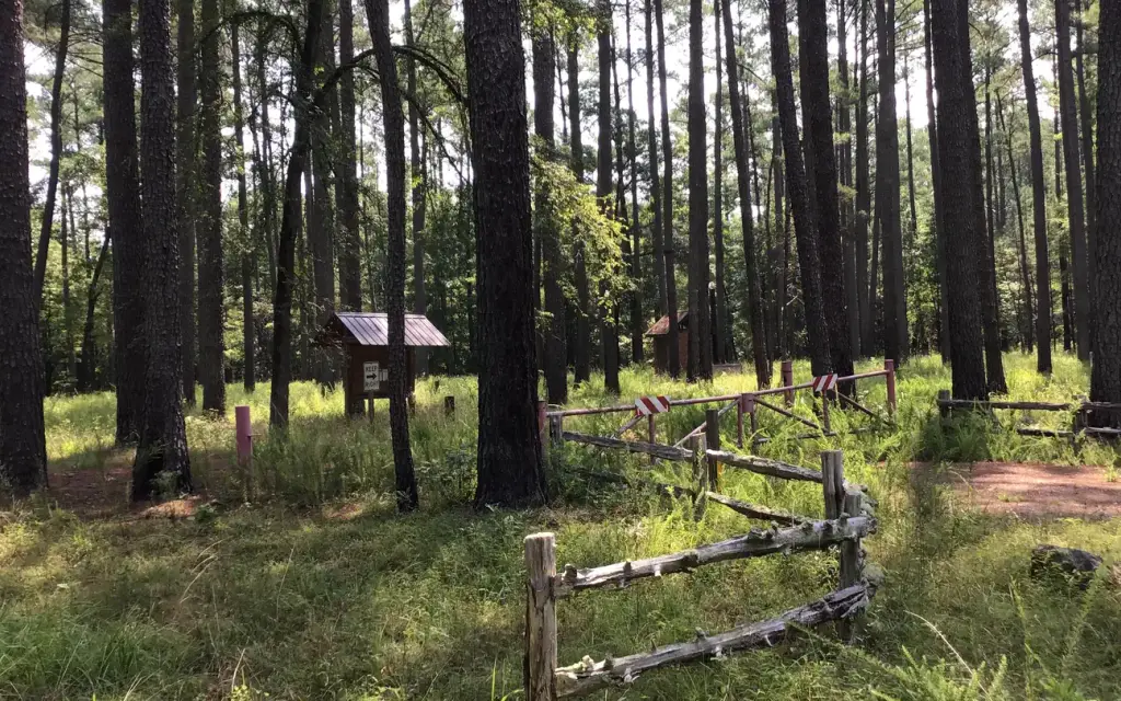 Poulous Loop Group Campground, a Forest Service group camp