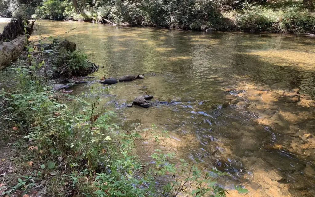 Cooper Creek Campground, a Forest Service campground