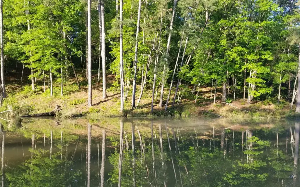Clear Springs Recreation Area, a Forest Service campground