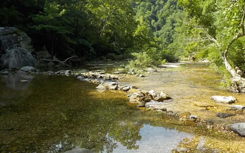 Gunner Pool Campground, a Forest Service campground