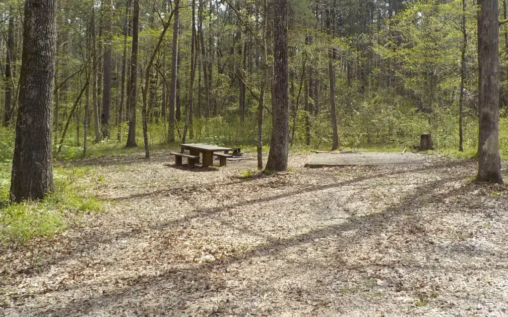 Redding Campground, a Forest Service campground
