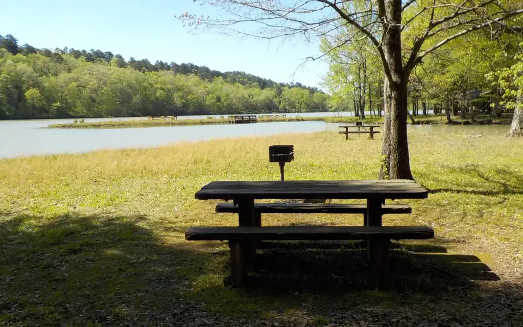 Shores Lake Recreation Area, a Forest Service campground
