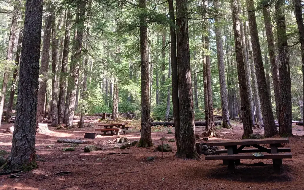 Skookum Creek Campground, a Forest Service campground