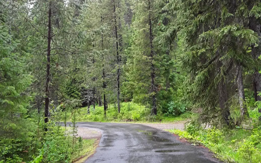 Cabin City Campground, a Forest Service campground