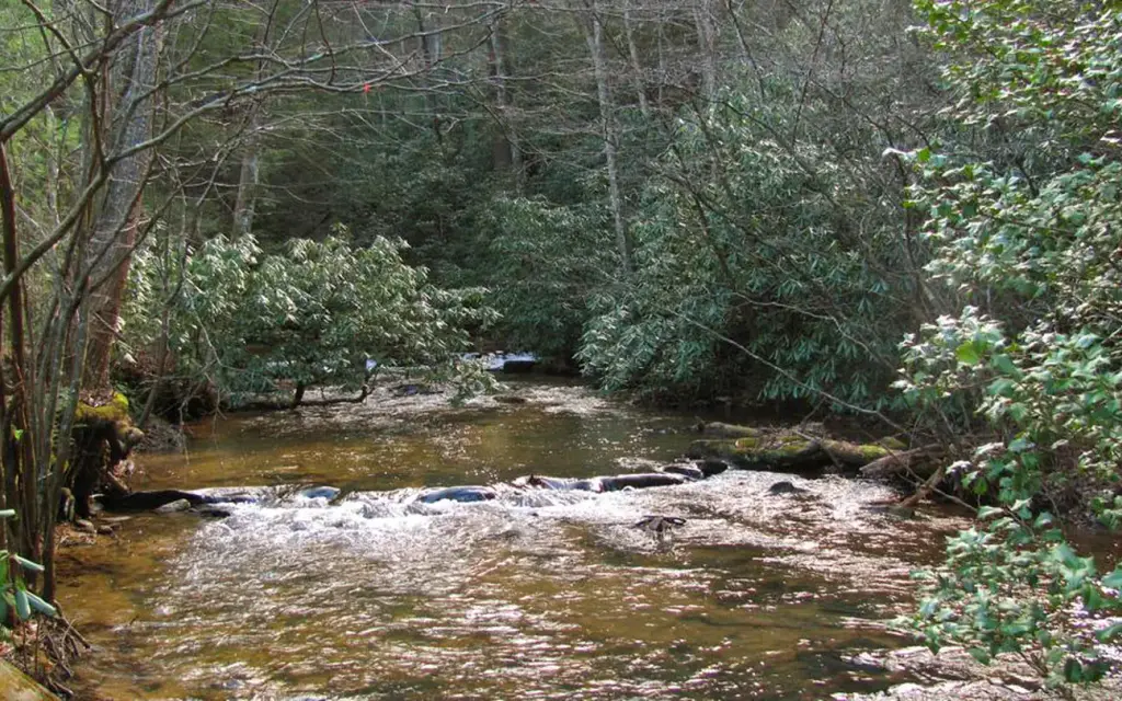 Frank Gross Campground, a Forest Service campground